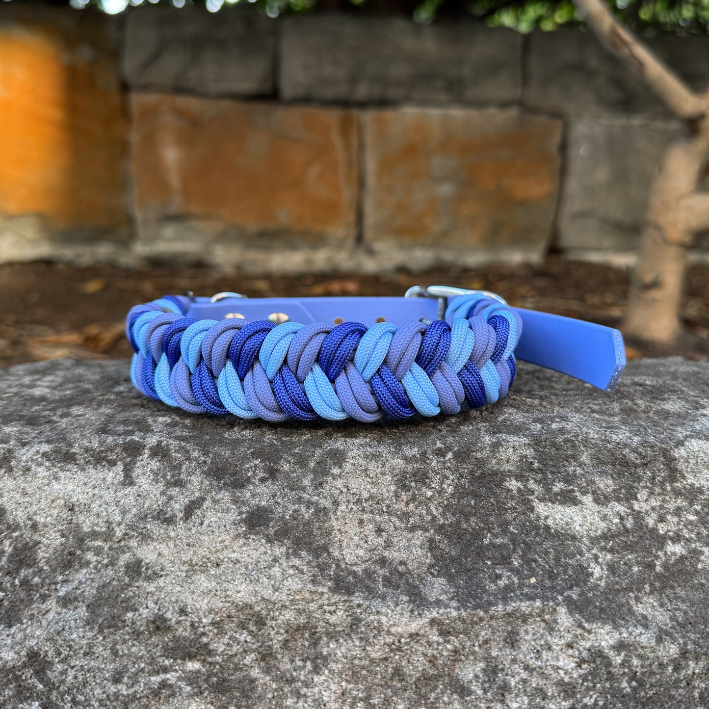Nova Collar