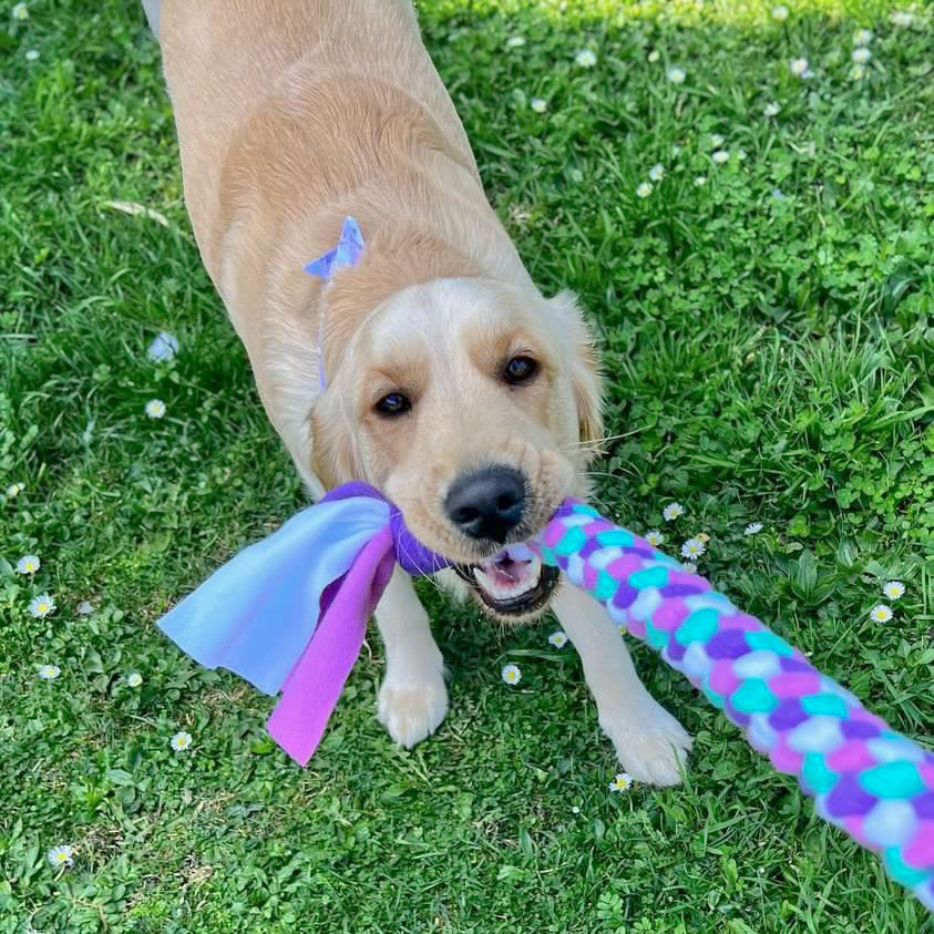 Tug Toy - Long