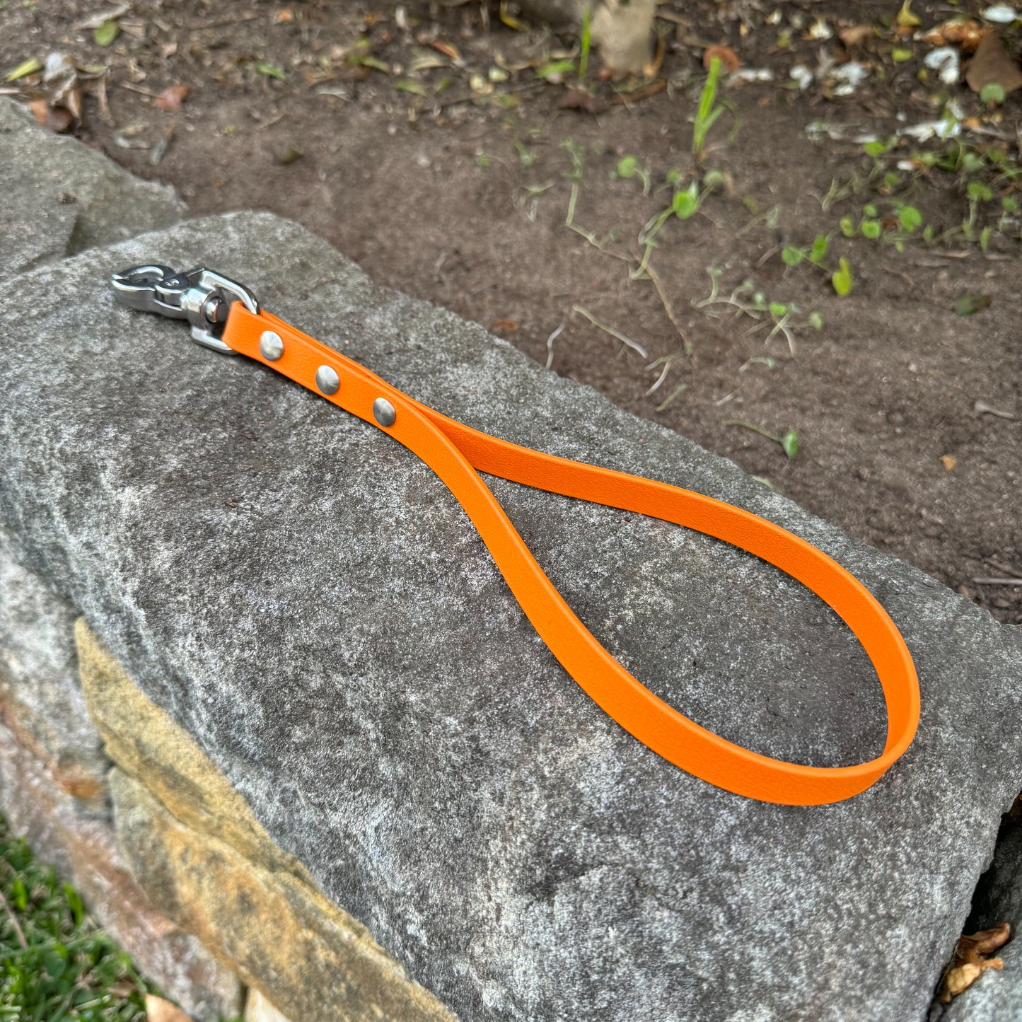 Biothane Traffic Leash