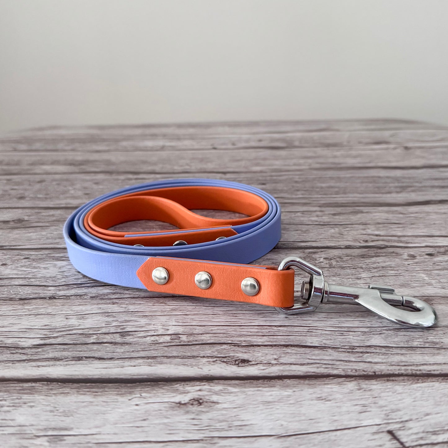Two-Tone Biothane Leash