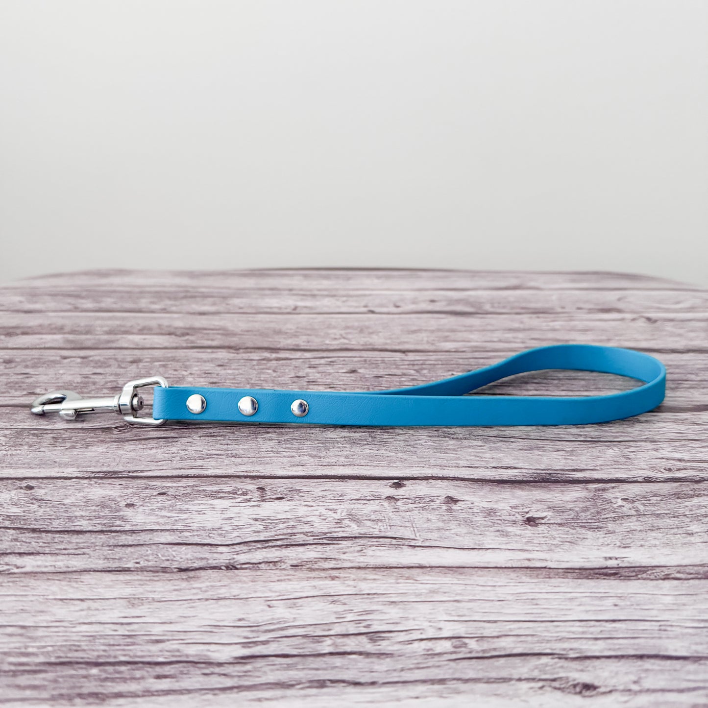Biothane Traffic Leash