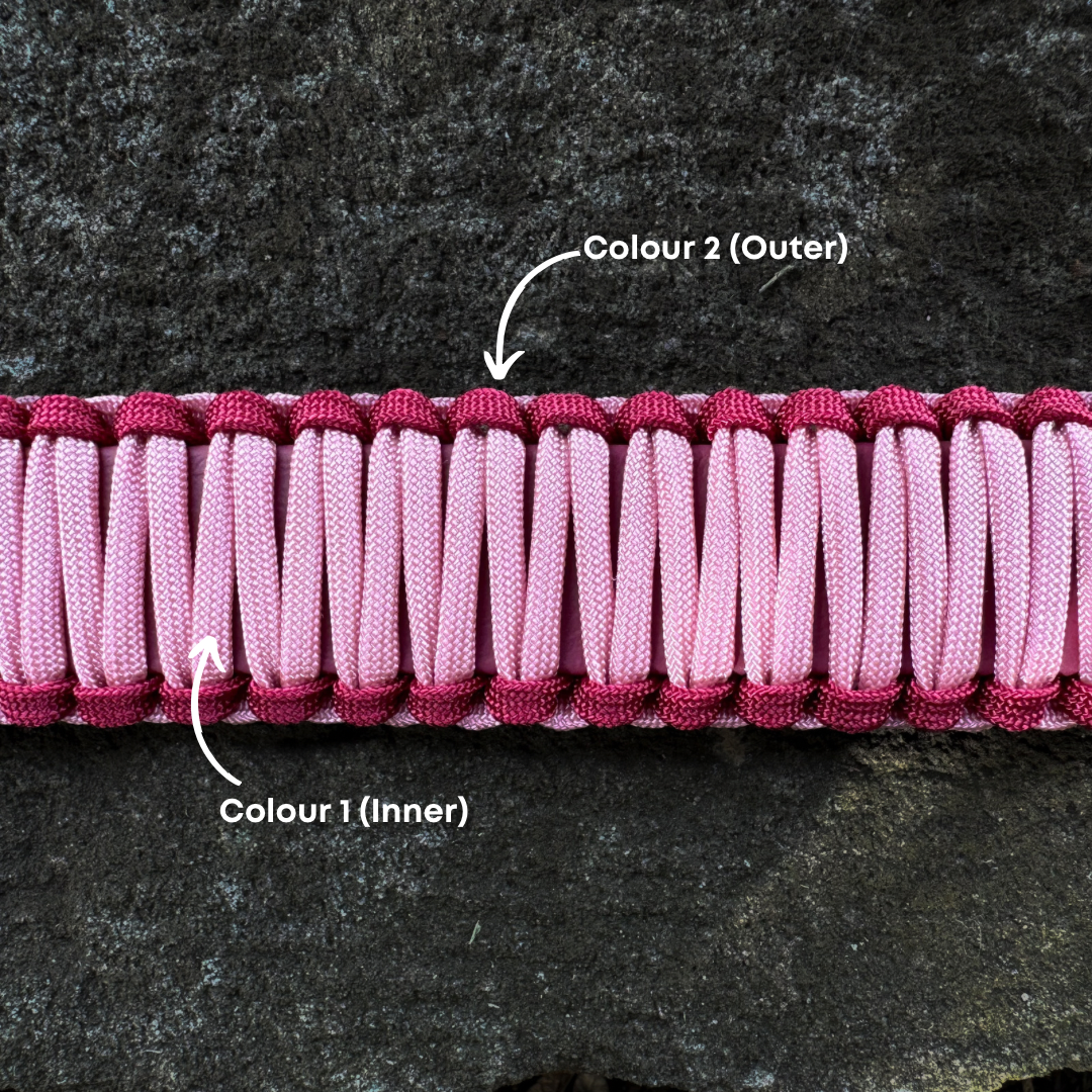 Voyager Collar