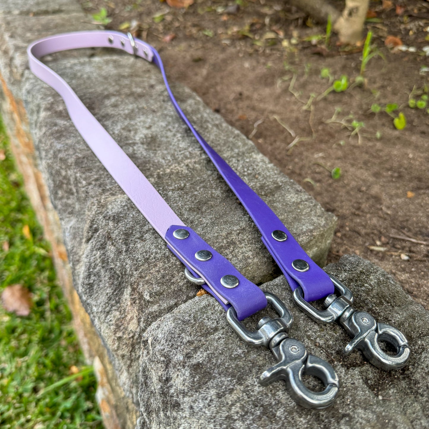 Multi-Function Biothane Leash