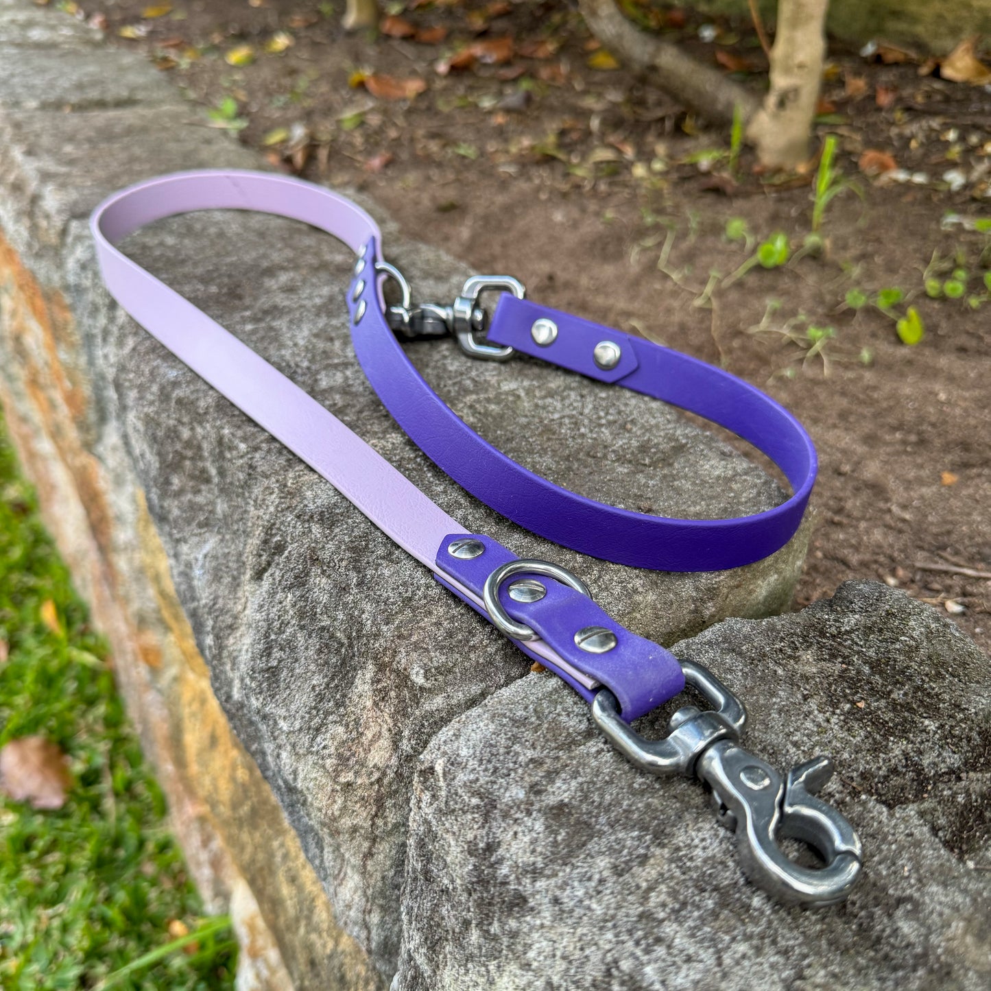 Multi-Function Biothane Leash