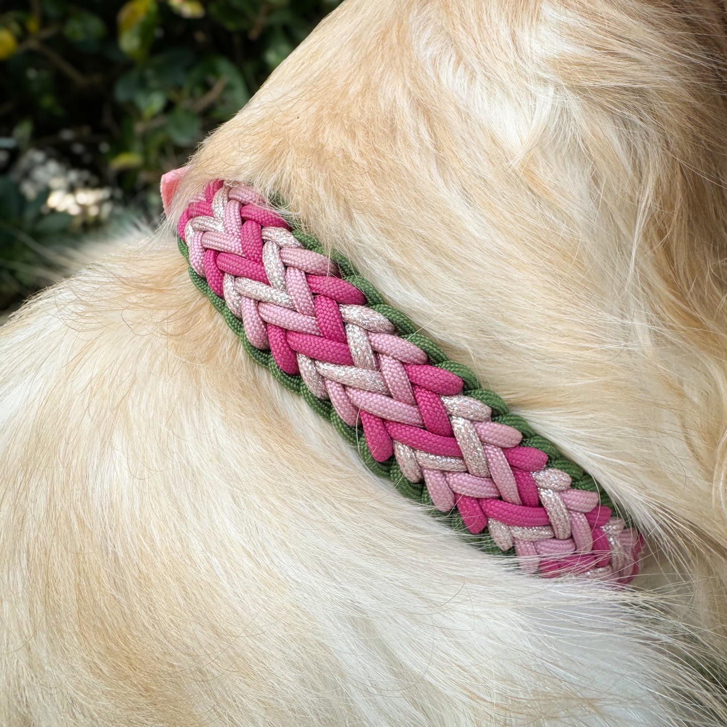 Neptune Collar