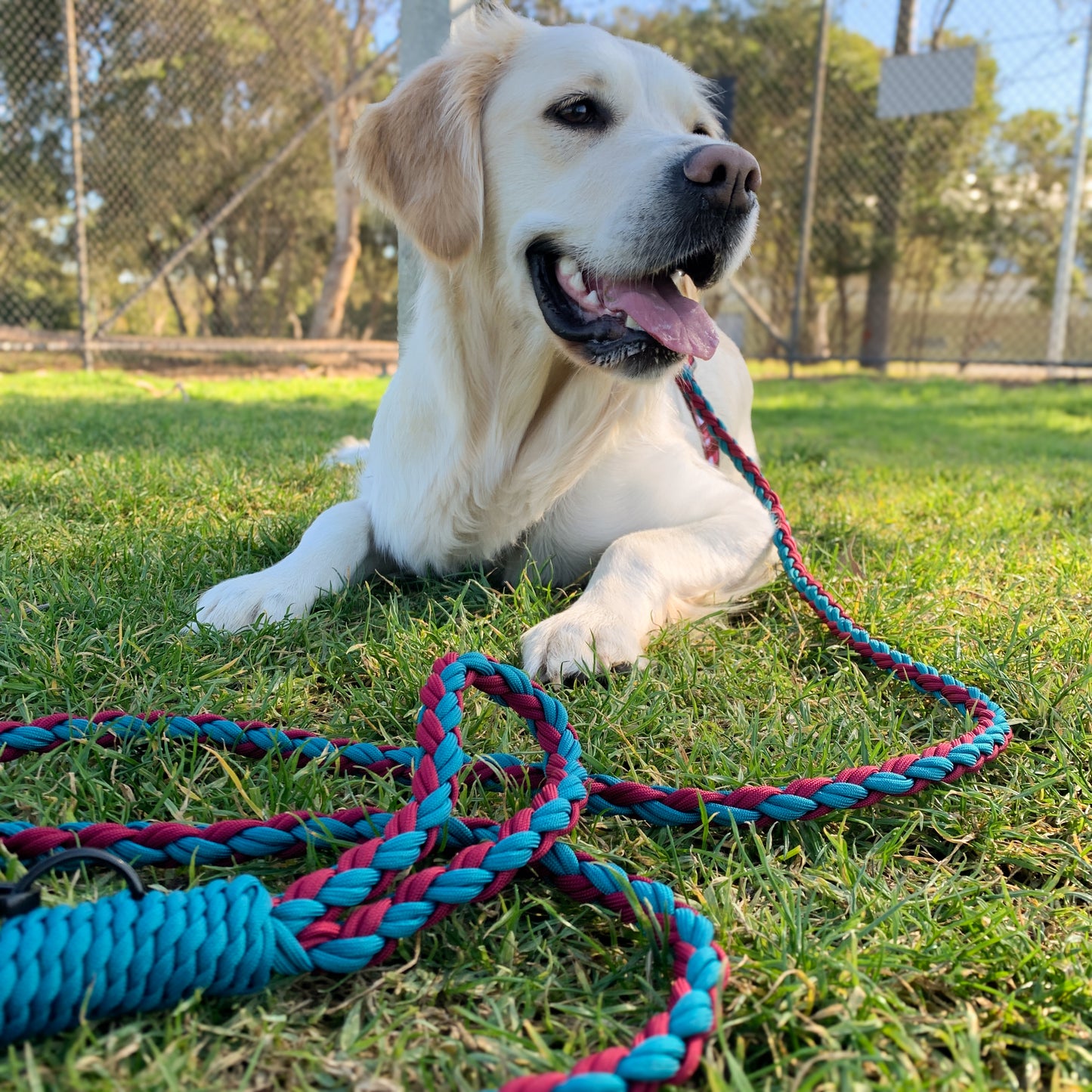 Paracord Leash