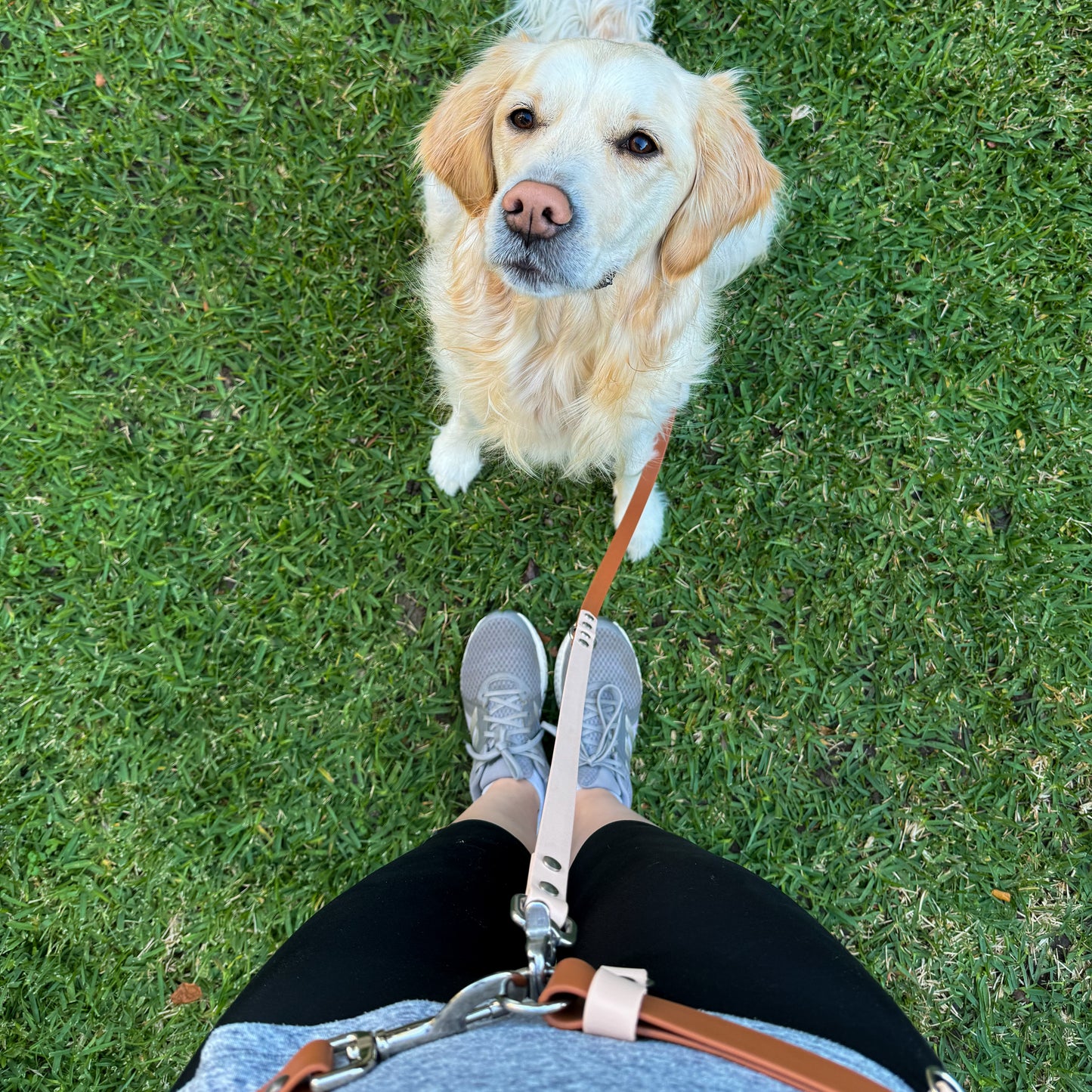 Hands-Free Leash Adapter