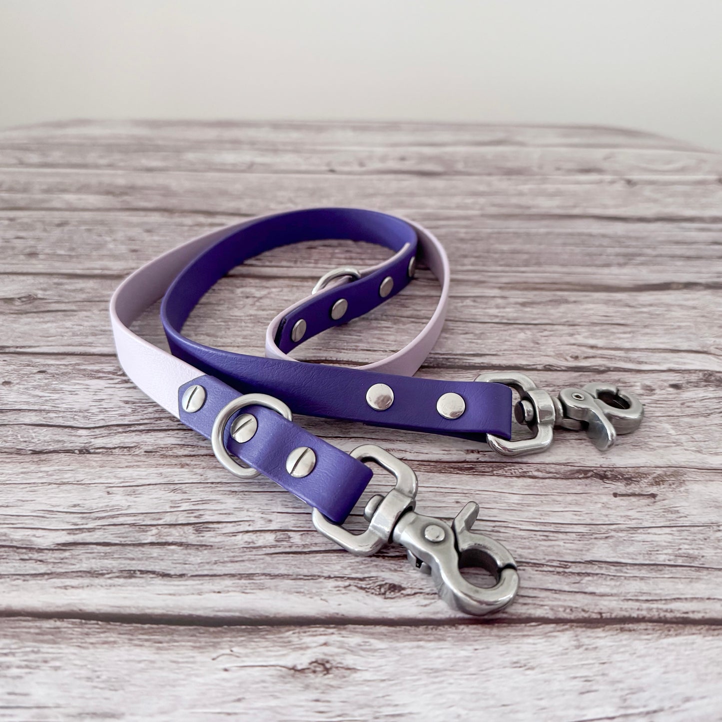 Multi-Function Biothane Leash
