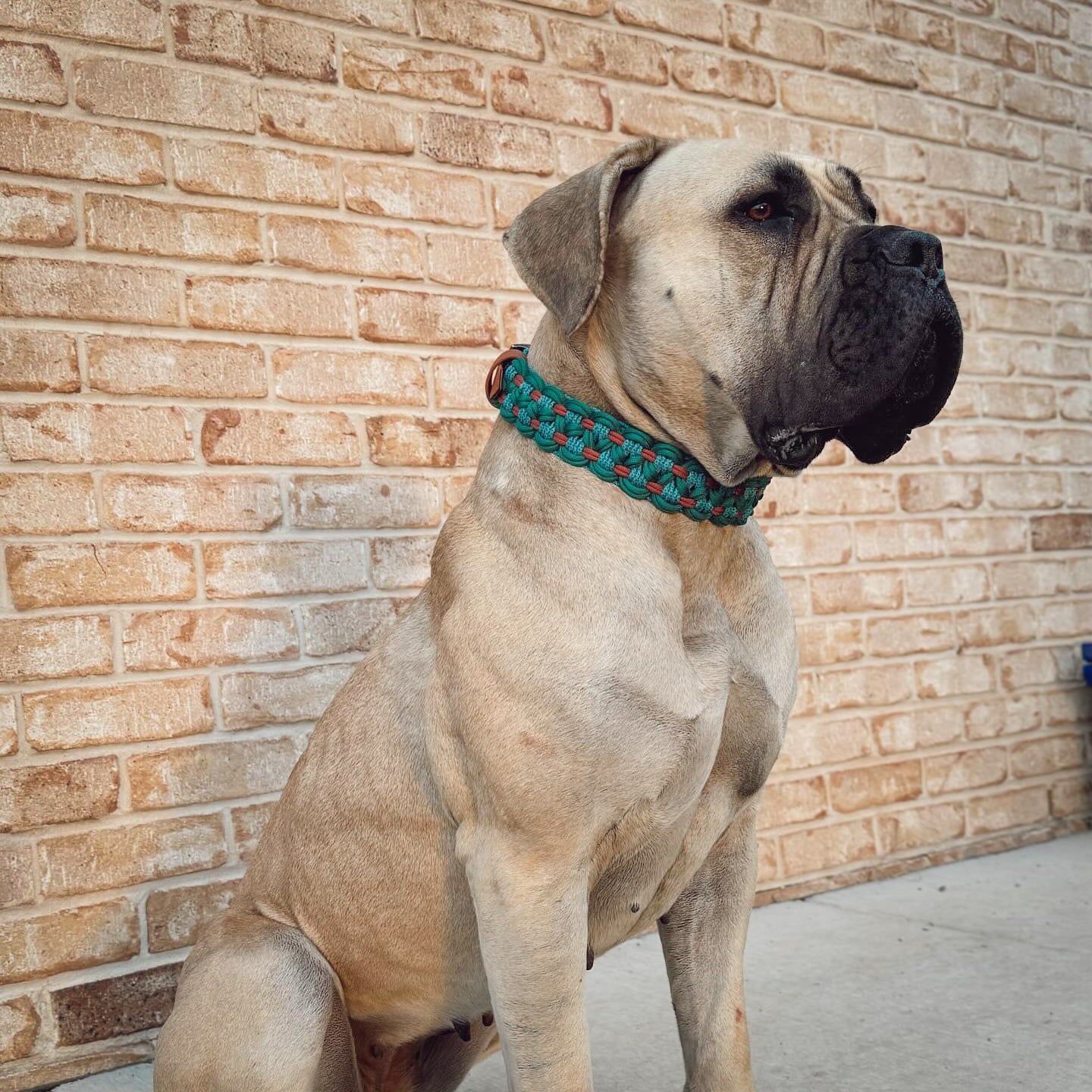 Infinity Collar