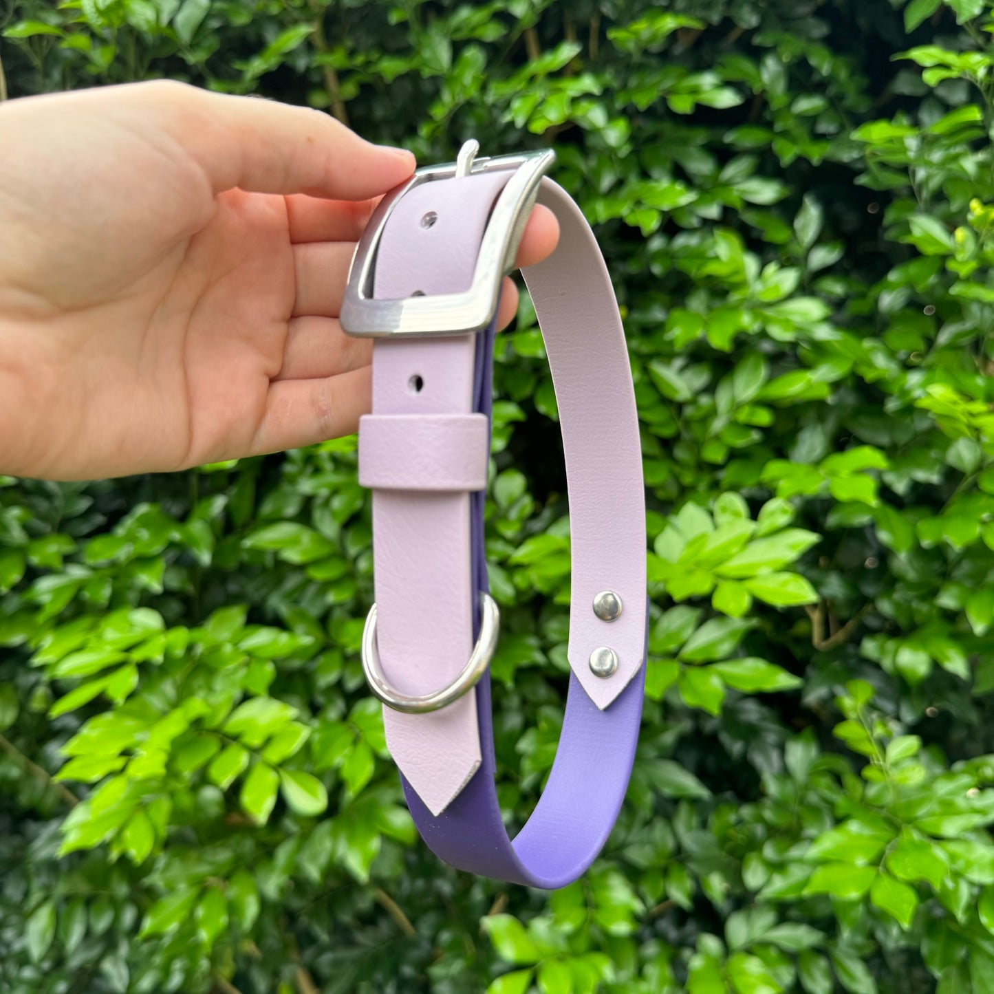 Two-Tone Biothane Collar