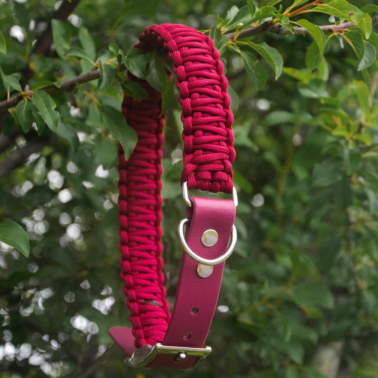 Terra Collar