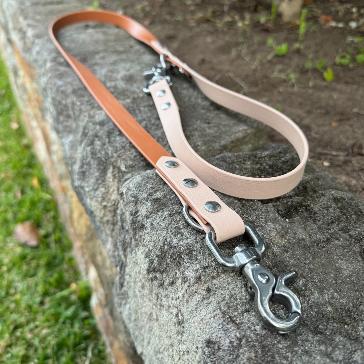 Multi-Function Biothane Leash