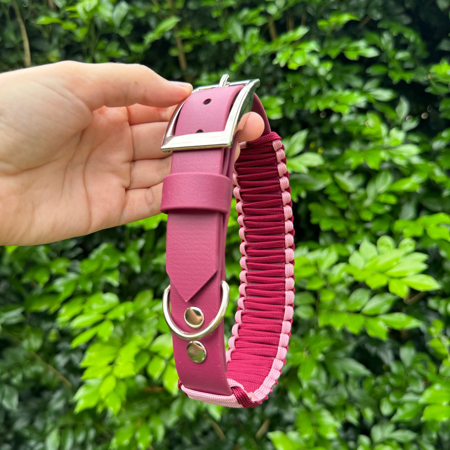 Voyager Collar