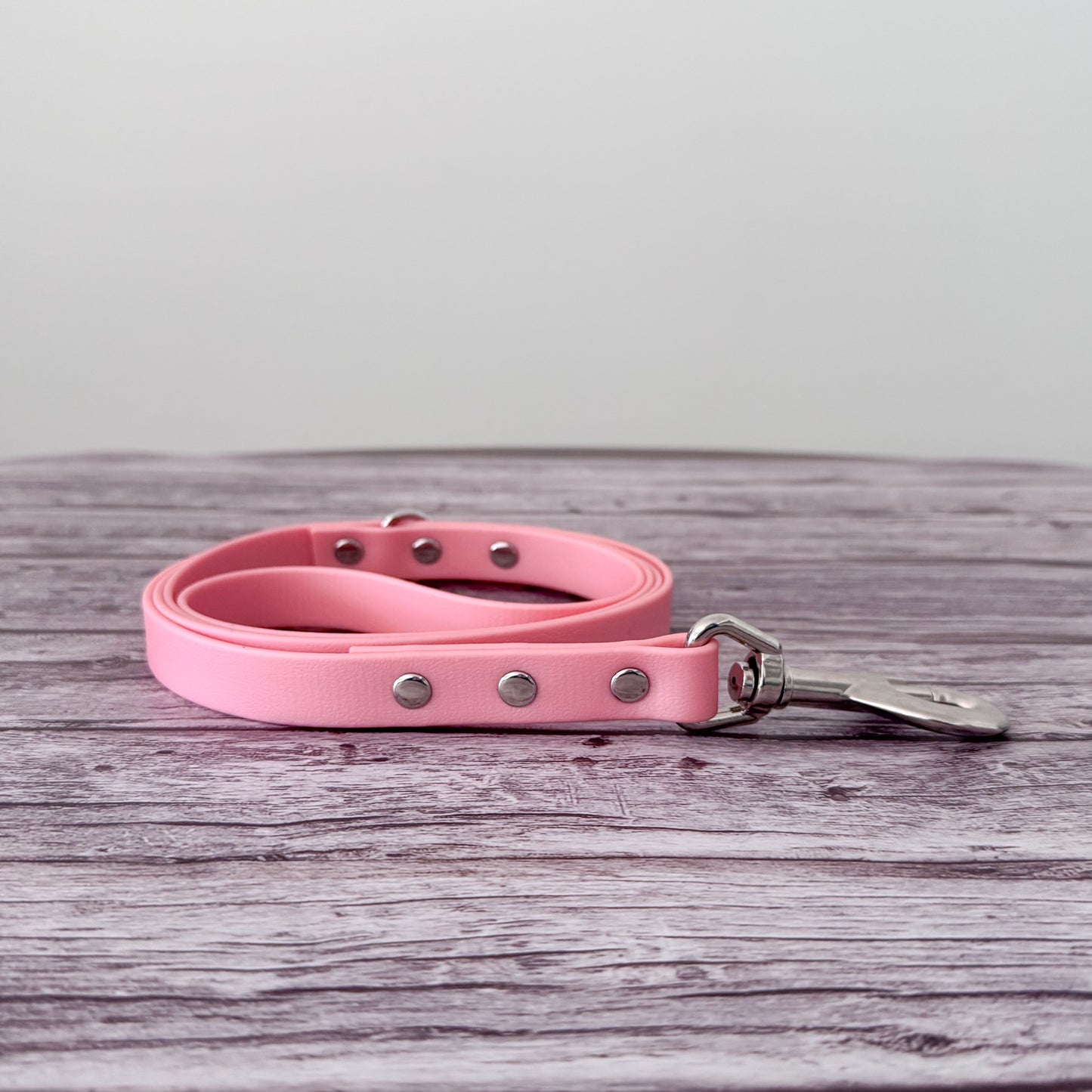 Biothane Leash