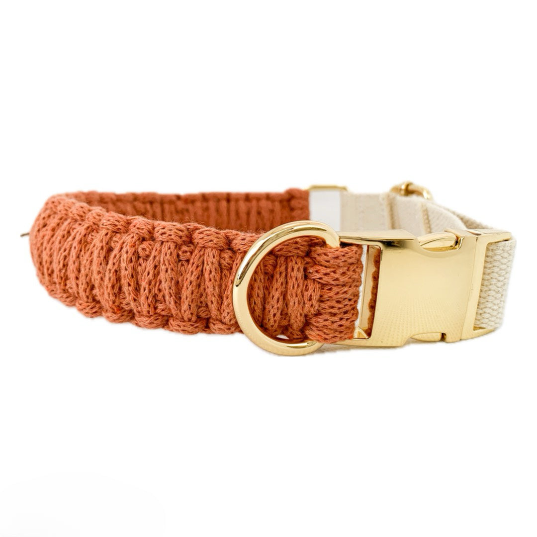 Macrame Collar - King Cobra