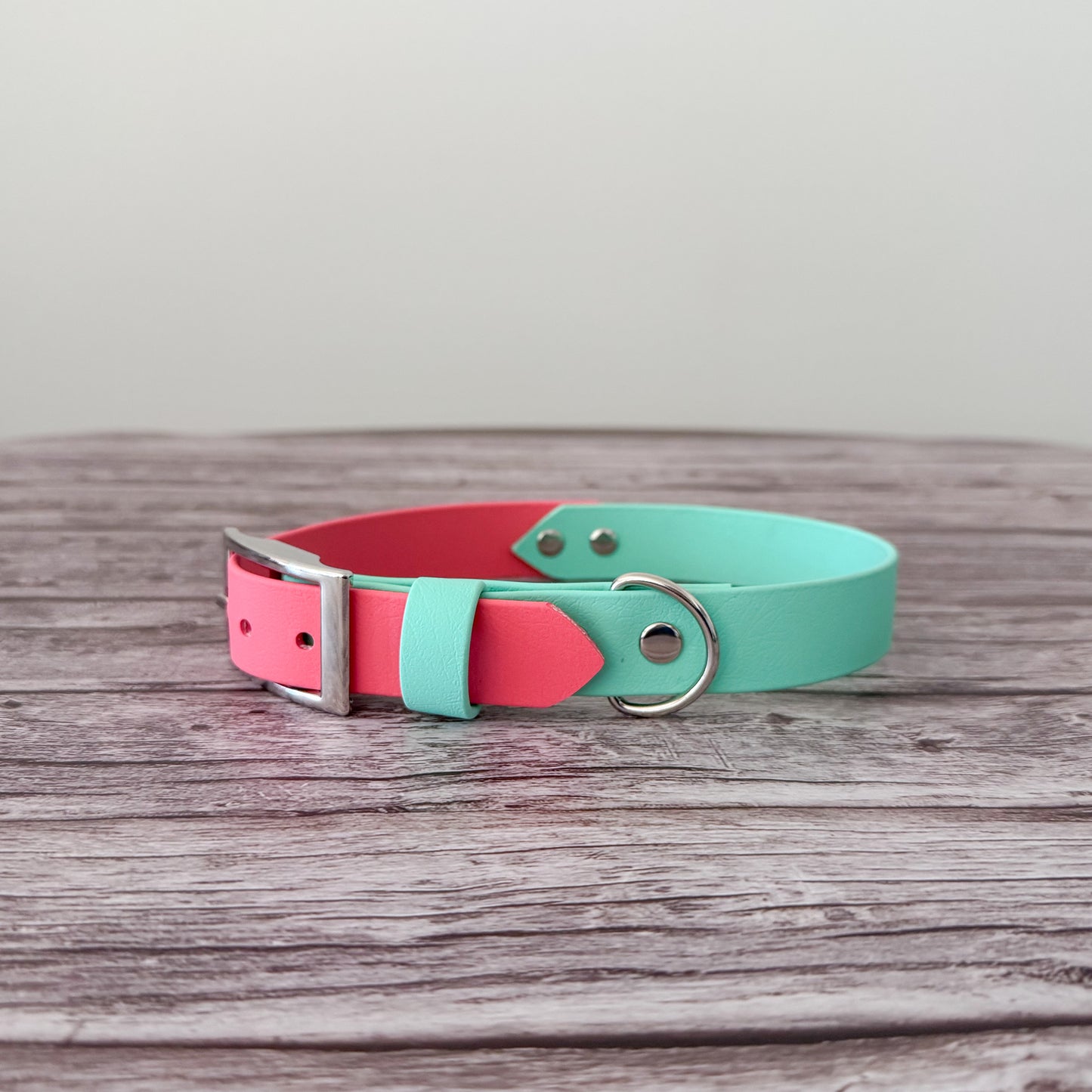 Two-Tone Biothane Collar