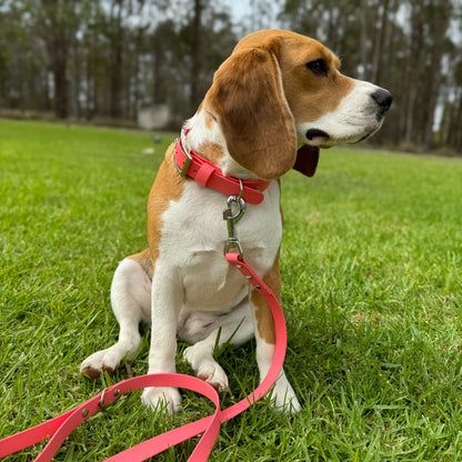 Biothane Leash