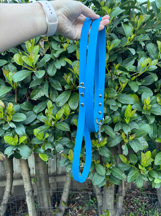 Biothane Leash - Blue