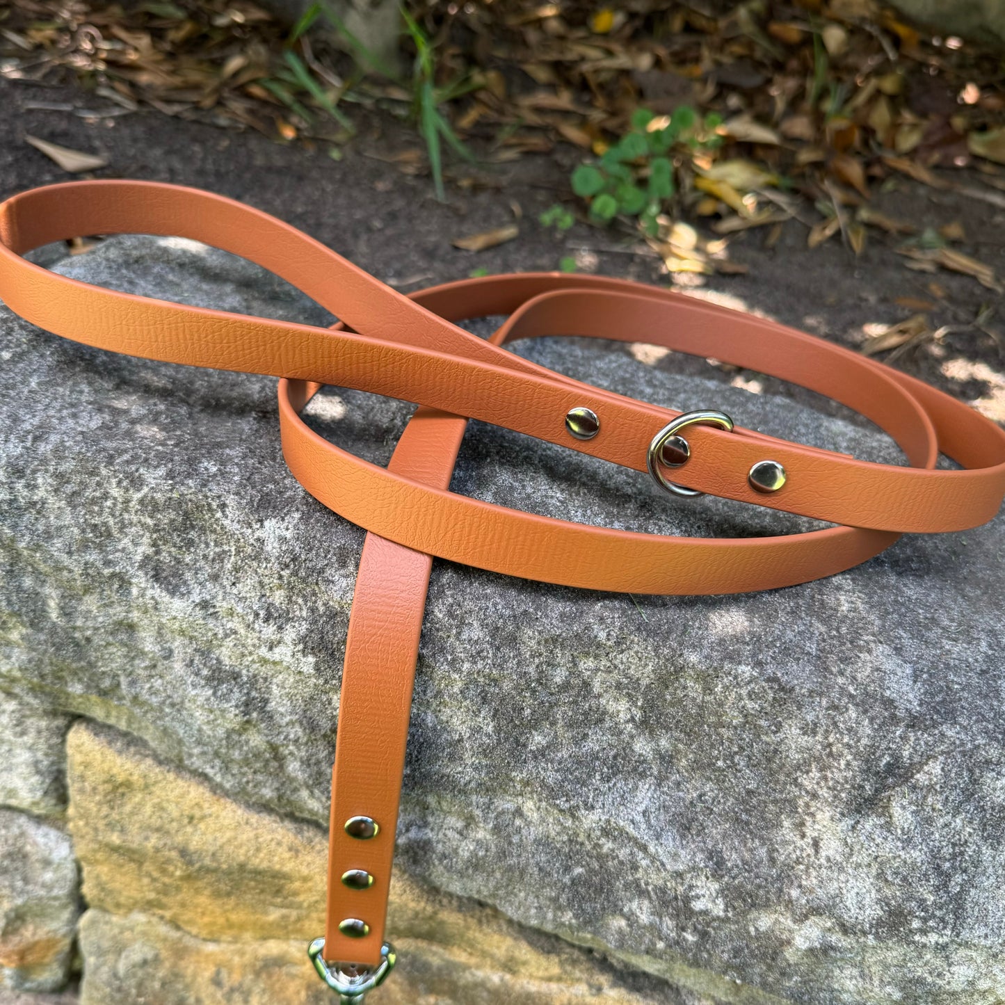 Biothane Leash