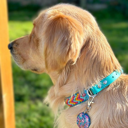 Neptune Collar