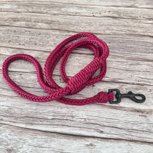 Heavy Duty Paracord Leash - Black