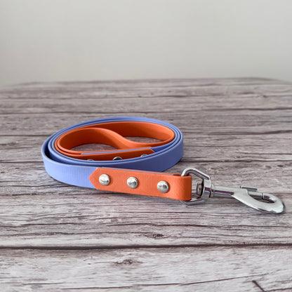 Two-Tone Biothane Leash