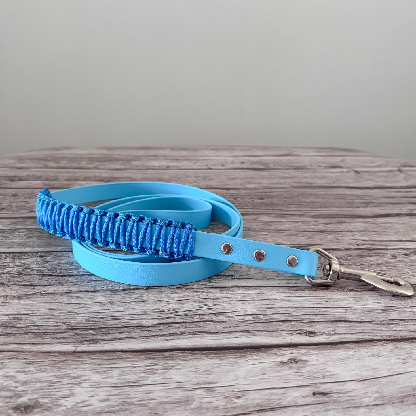 Voyager Leash