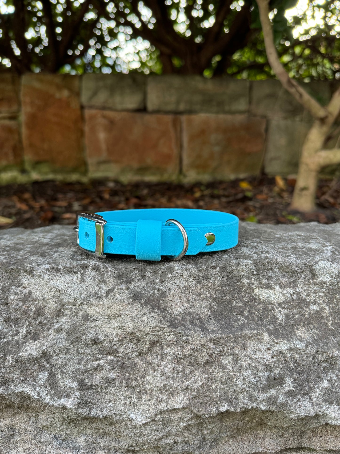 Biothane Collar - Light Blue