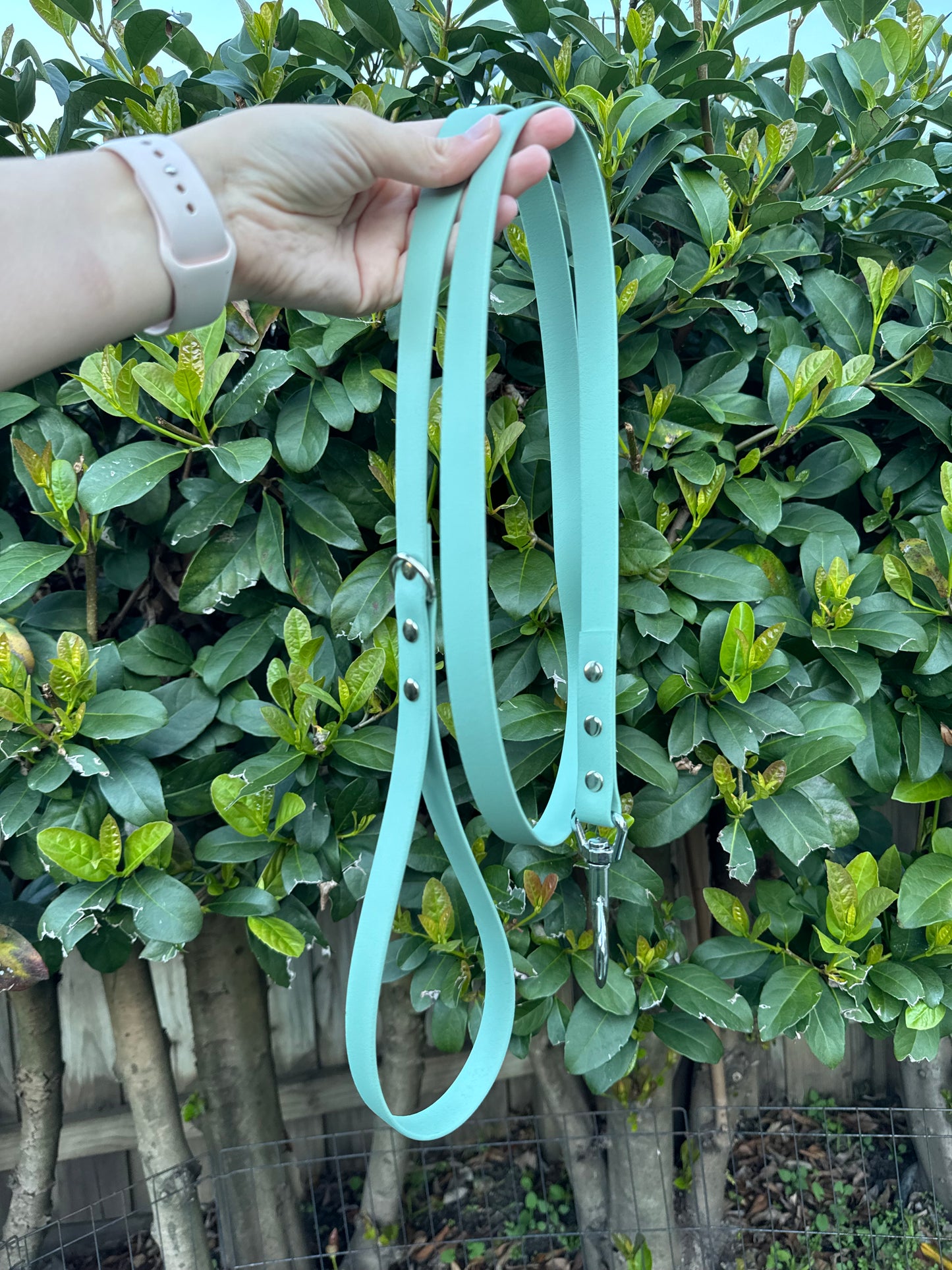 Biothane Leash - Sage