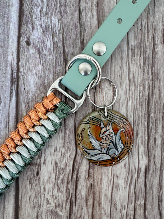 "Sound" Collar and Tag Set