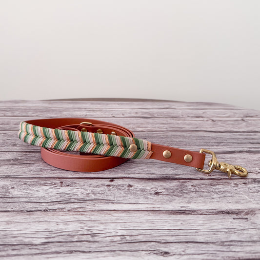 Odyssey Leash