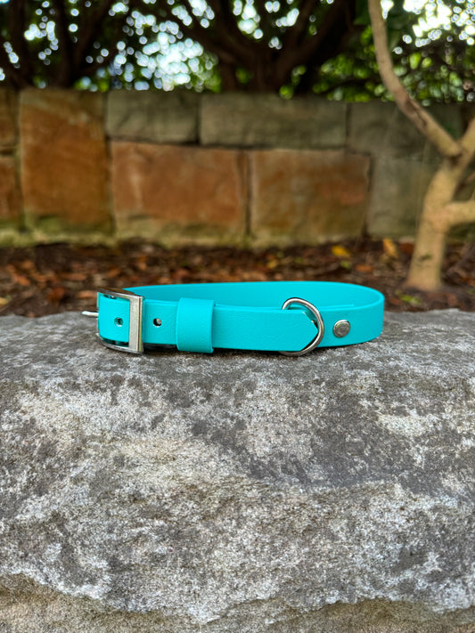 Biothane Collar - Turquoise