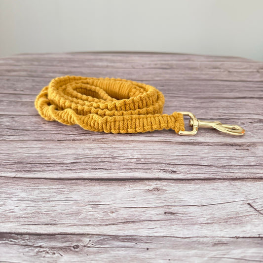 Macrame Leash - Mustard + Gold *Seconds*