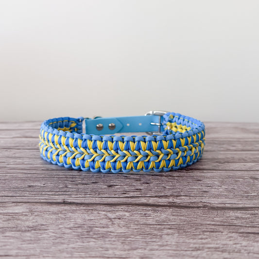Apollo Collar