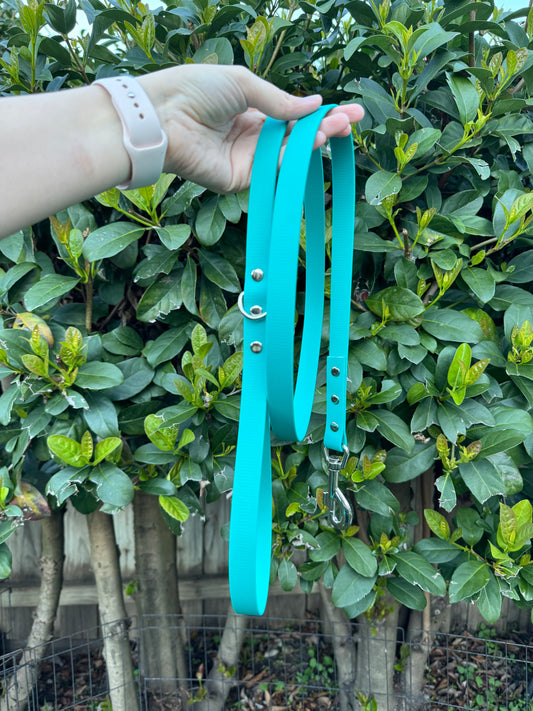 Biothane Leash - Turquoise