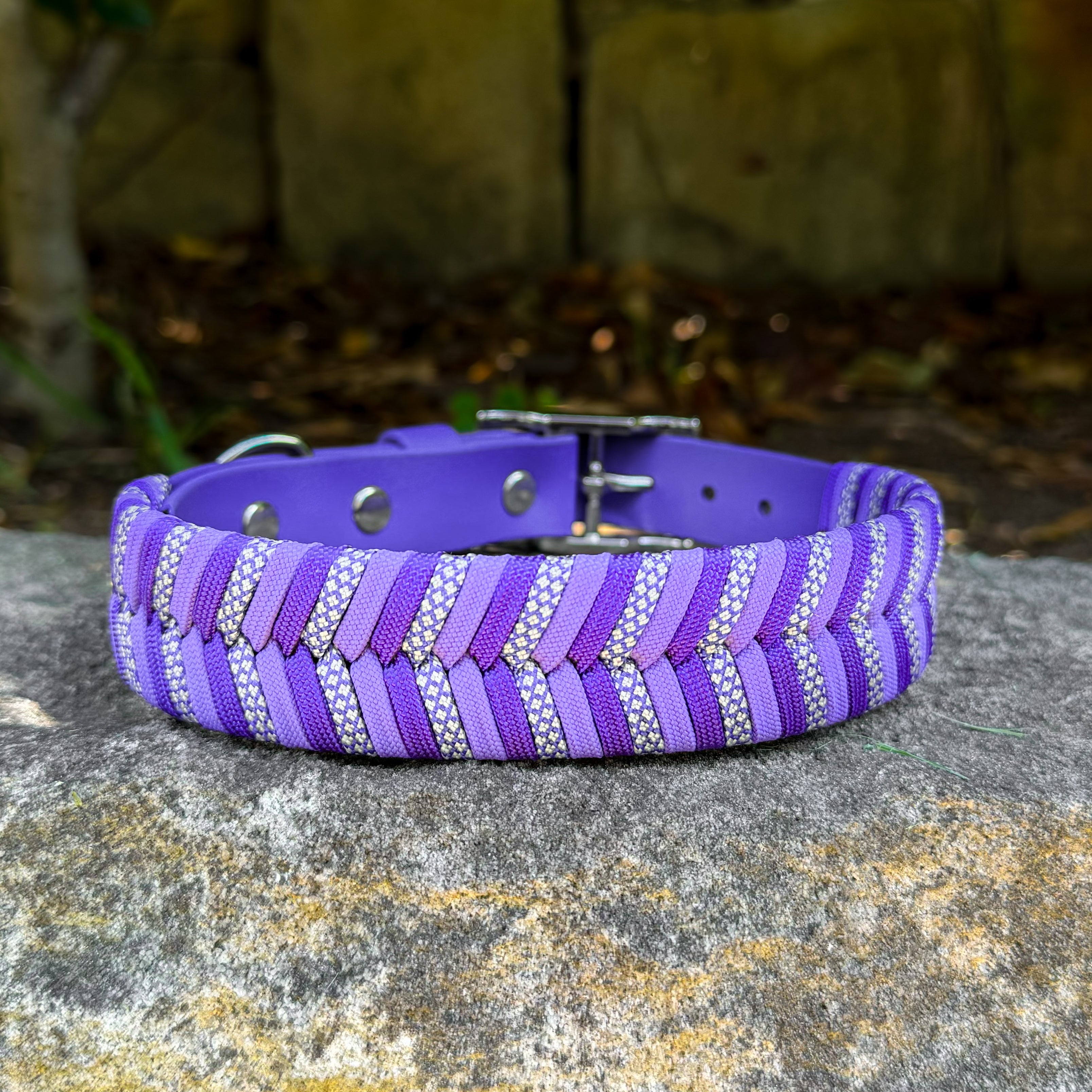 Odyssey Collar – Tail Made