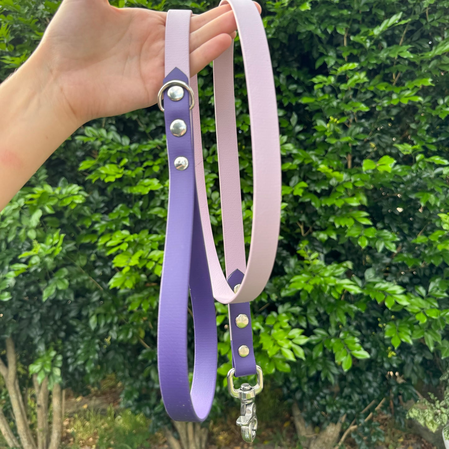 Two-Tone Biothane Leash