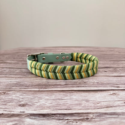Odyssey Collar