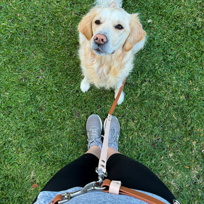 Hands-Free Leash Adapter