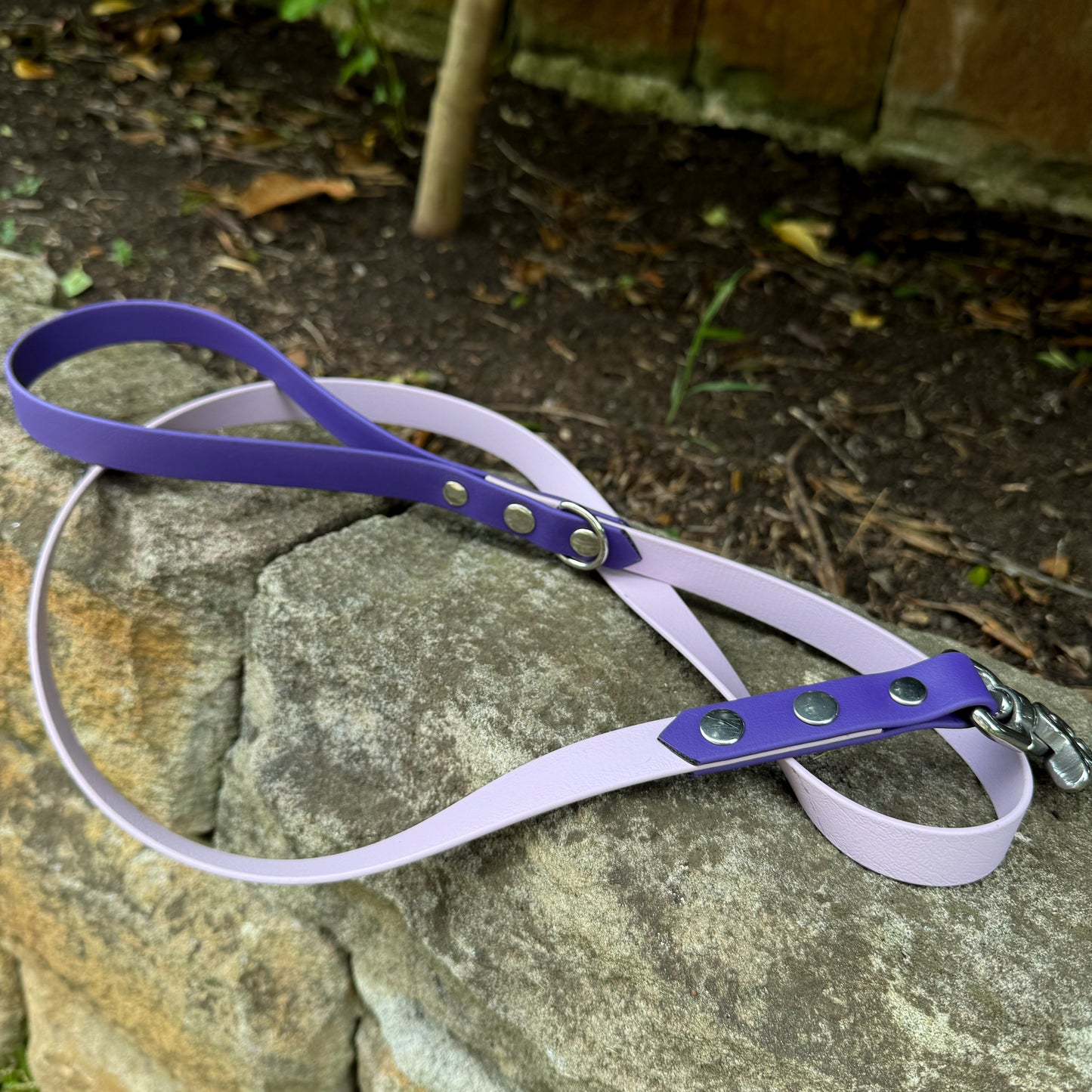Two-Tone Biothane Leash