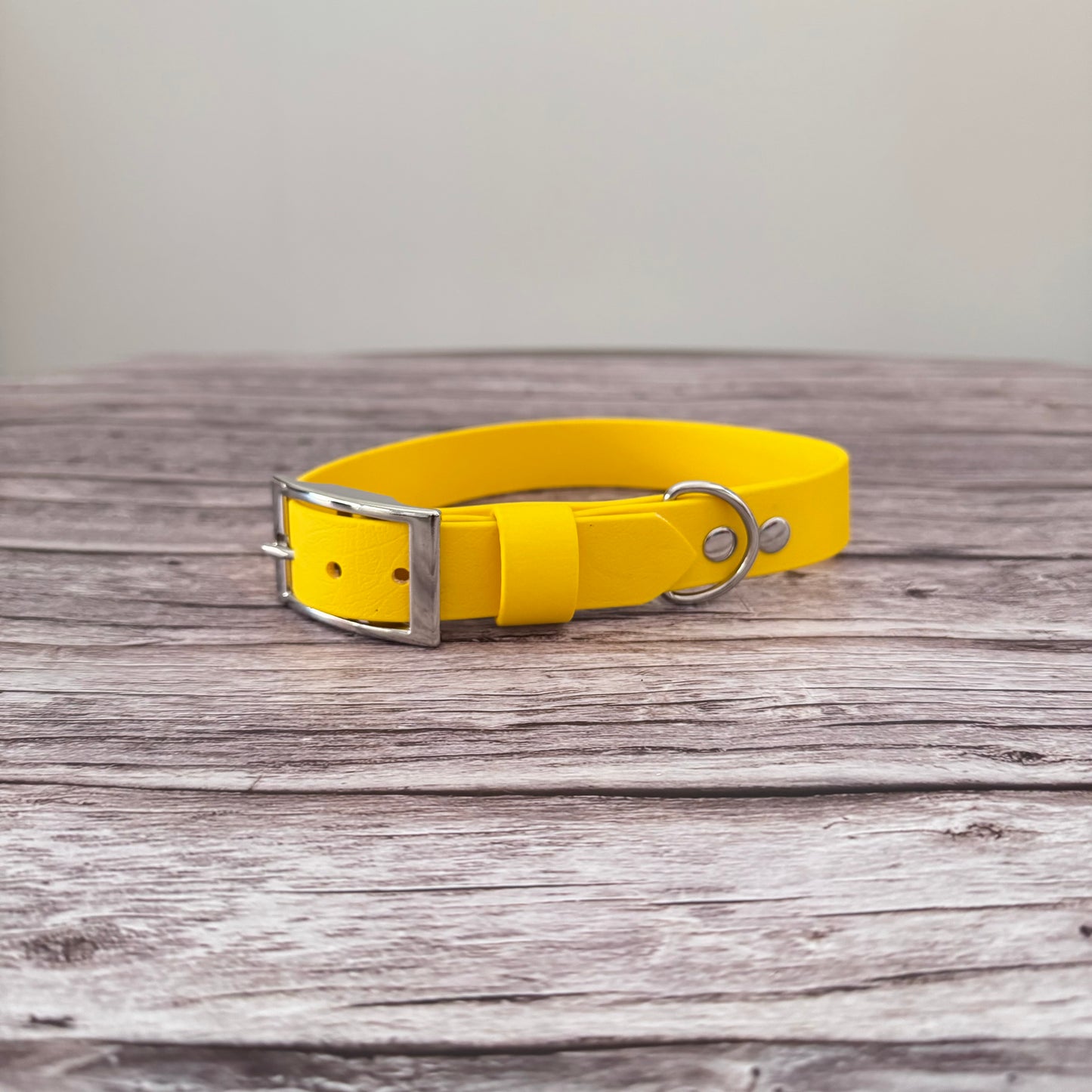 M 40-47cm Nickel Biothane Collar