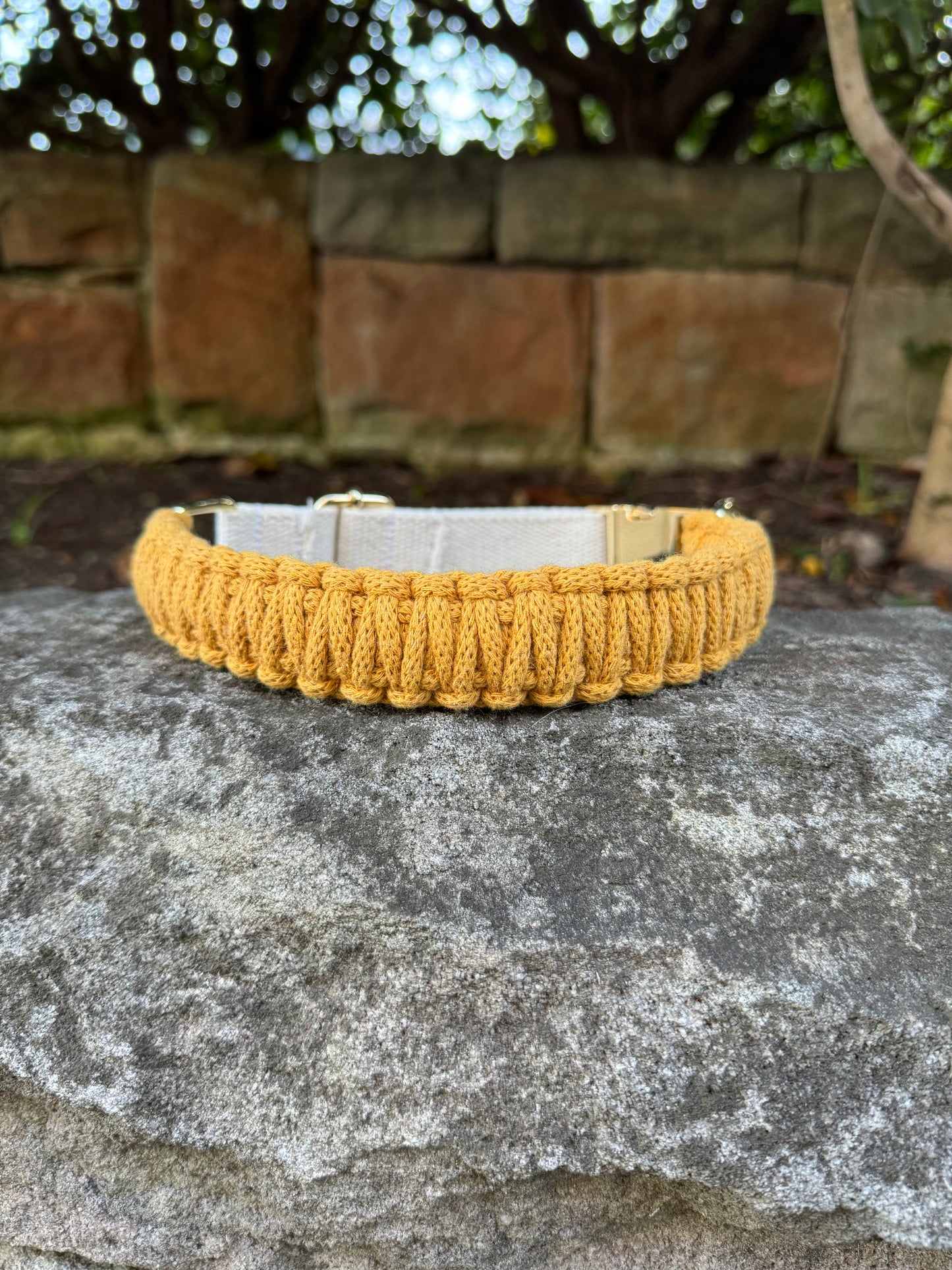 Macrame Collar - Mustard King Cobra L