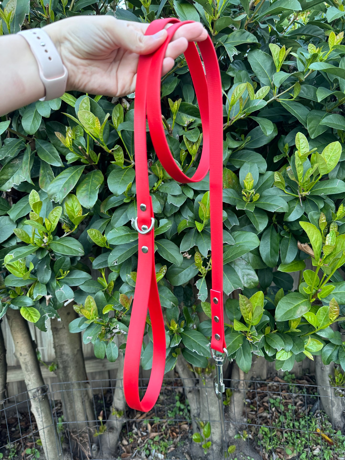 Biothane Leash - Red