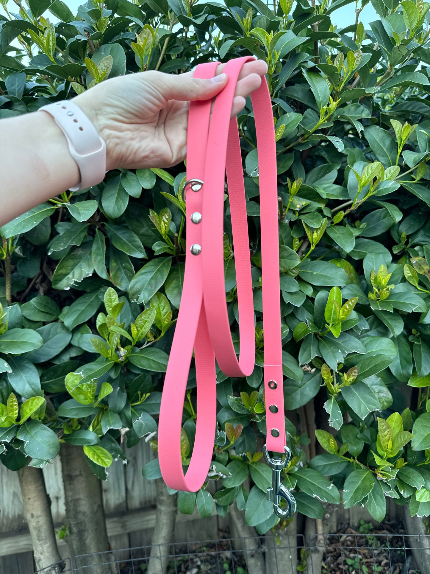 Biothane Leash - Coral