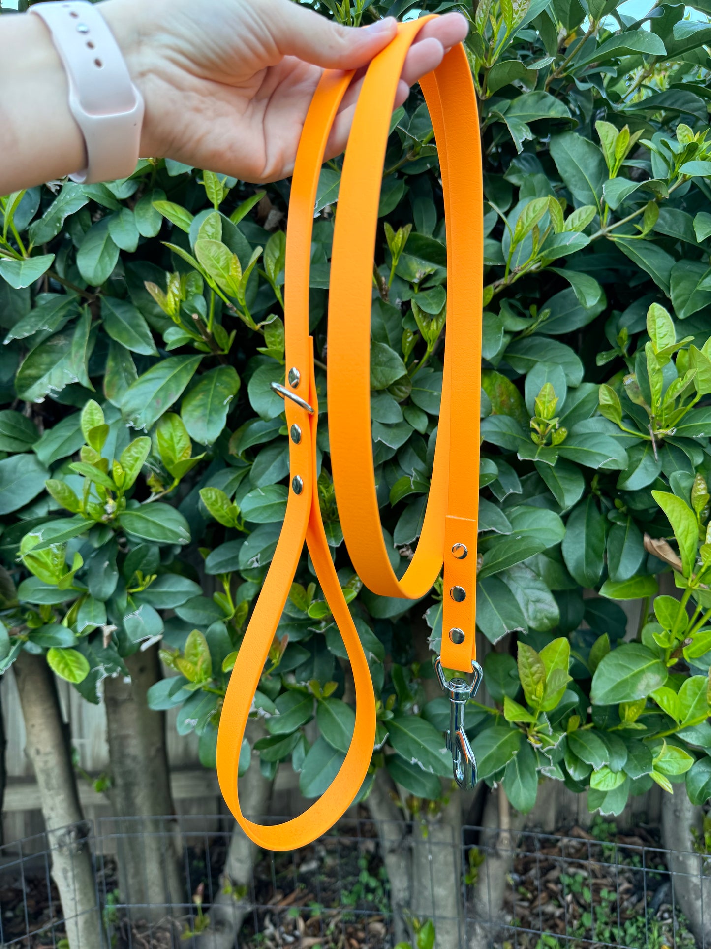 Biothane Leash - Orange