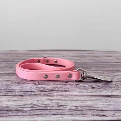 Biothane Leash