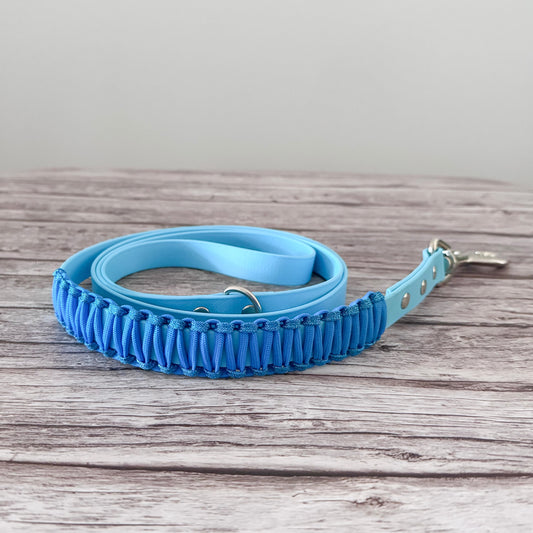 Voyager Leash