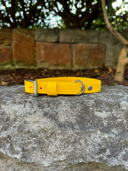 Biothane Collar - Yellow