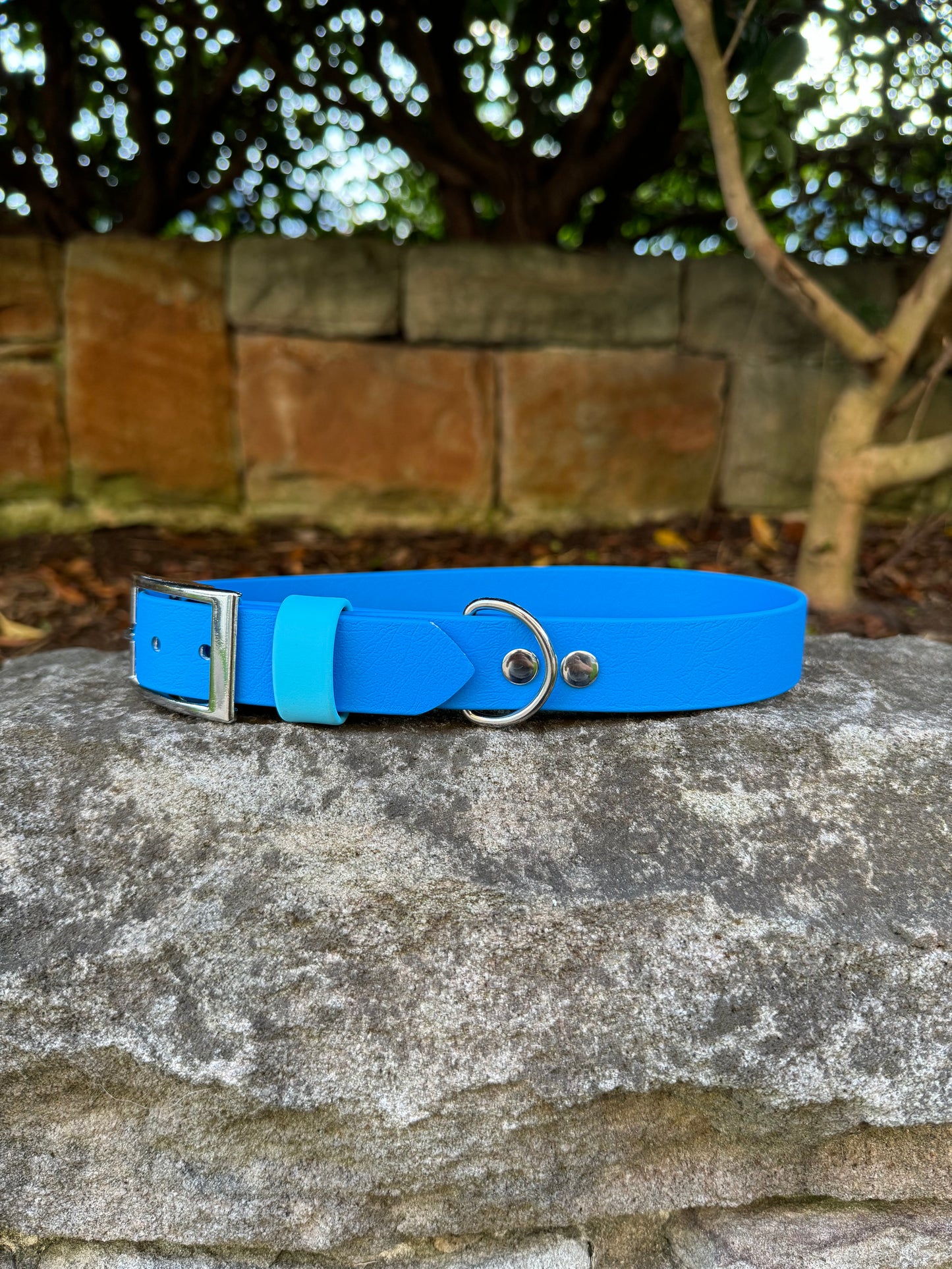 Biothane Collar - Blue/Light Blue XL