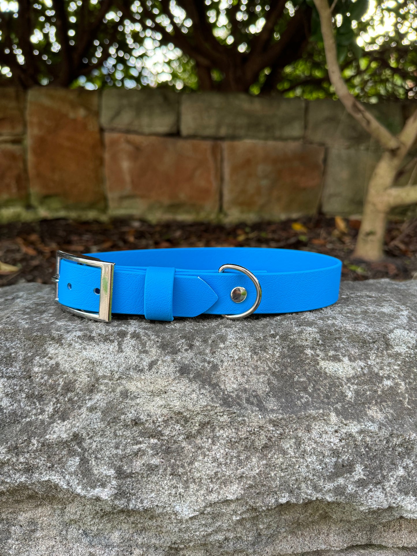 Biothane Collar - Blue